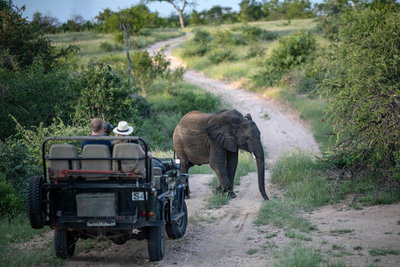 Simbavati Hilltop Lodge Timbavati Game Reserve Exterior foto